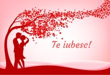 Dedicatii si texte de dragoste pentru partenerul tau