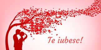 Dedicatii si texte de dragoste pentru partenerul tau
