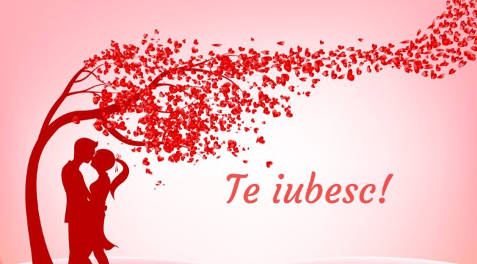 Dedicatii si texte de dragoste pentru partenerul tau