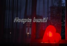 Mesaje frumoase de noapte buna pe care sa i le dedici iubirii tale