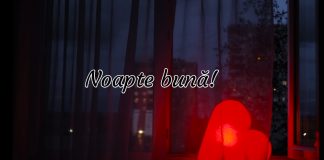 Mesaje frumoase de noapte buna pe care sa i le dedici iubirii tale