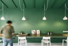 Culoarea dincolo de estetica: Psihologia verdelui in spatiile interioare