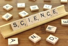Metoda observationala sau experimentala in cercetarile stiintifice