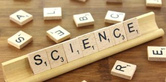 Metoda observationala sau experimentala in cercetarile stiintifice