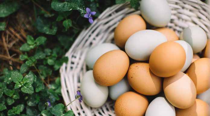 Poti manca oua daca ai colesterolul ridicat?