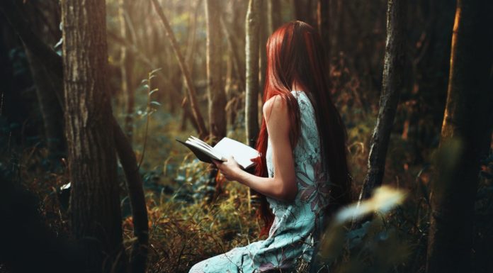 Romane politiste recomandate, cele mai citite si aplaudate