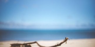 15 romane pe care nu le poti rata vara aceasta