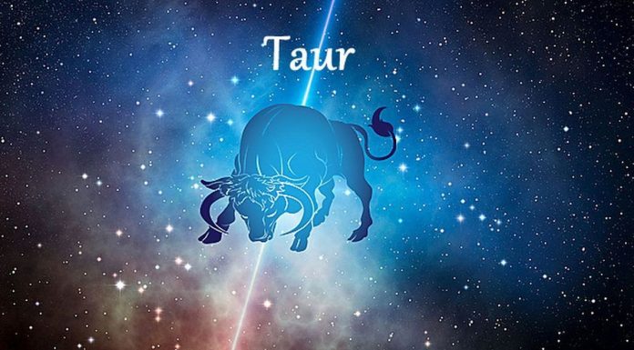 Barbatii din zodia Taur in relatii – Iata ce trebuie sa stiti