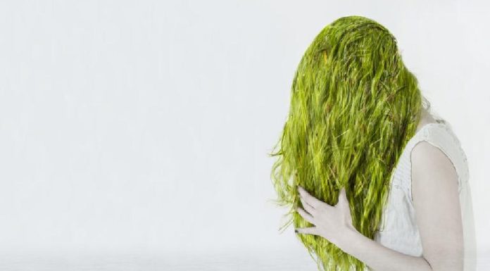 Cum sa decolorezi parul verde: Afla acum
