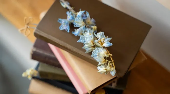 Dragoste, scoici si revolutie: 7 carti feministe de oferit cadou!