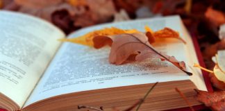 42 de carti noi de toamna pe care suntem incantati sa le citim
