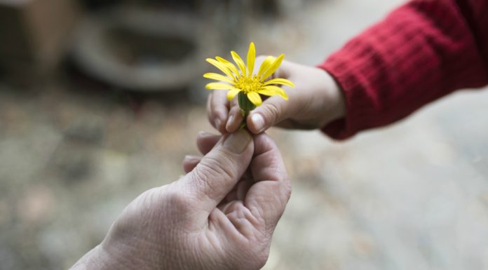 35 de fraze despre bunatatea lui Dumnezeu